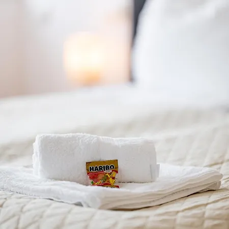 Luxury Sedda Bed, Nespresso, Netflix Linz