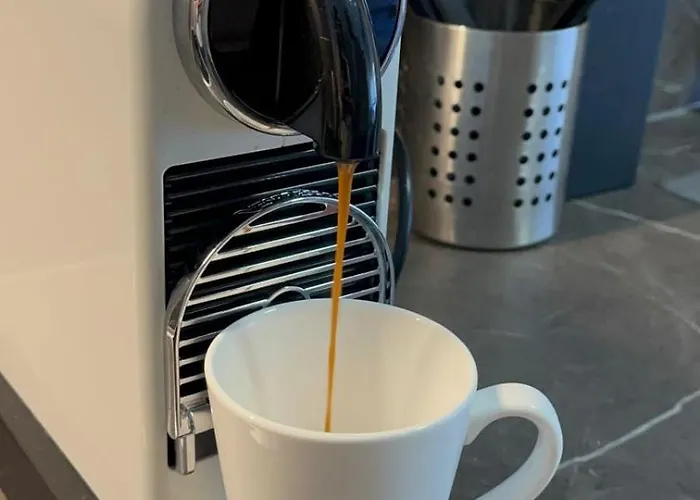 Luxury Sedda Bed, Nespresso, Netflix Apartment Linz